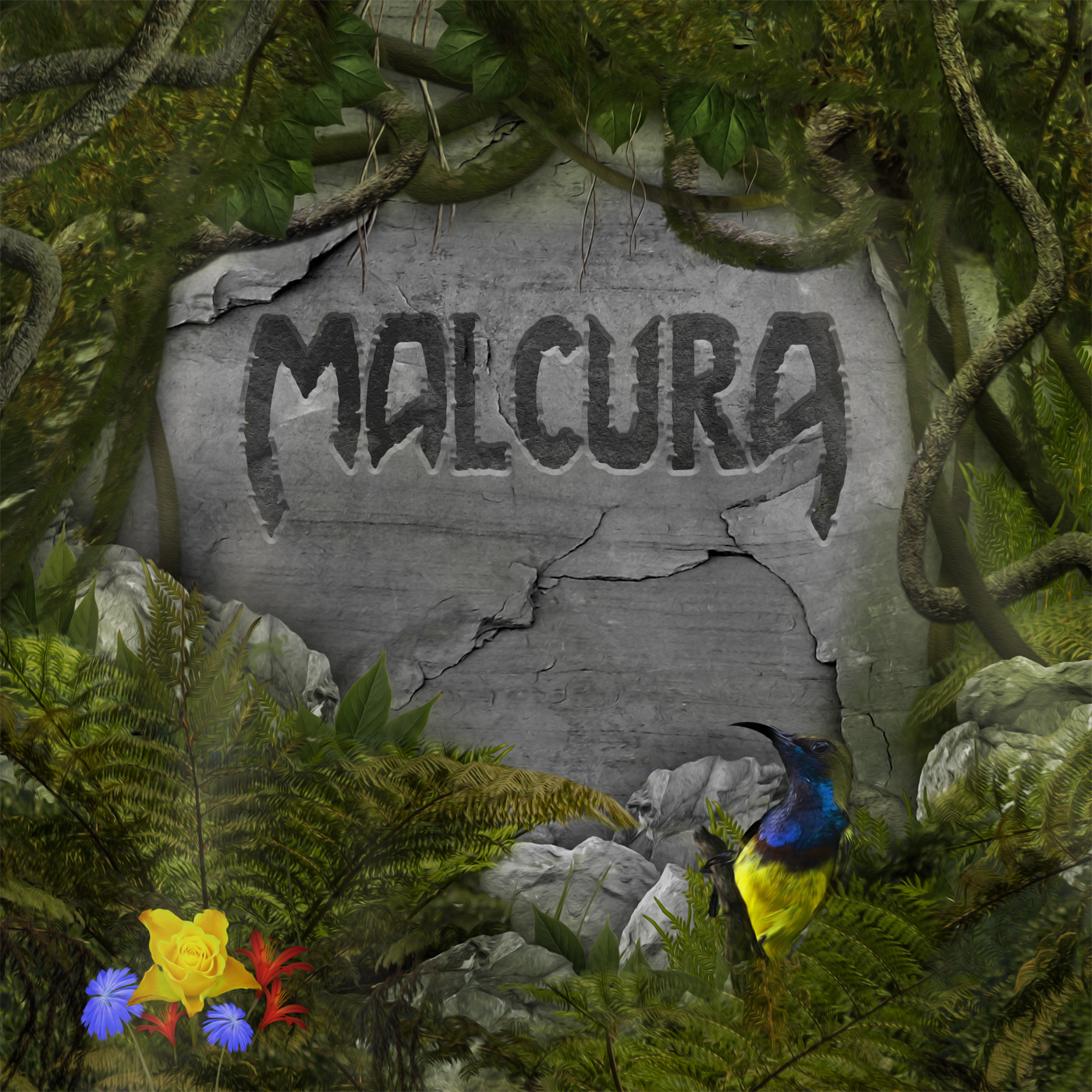 Malcura self titled album art